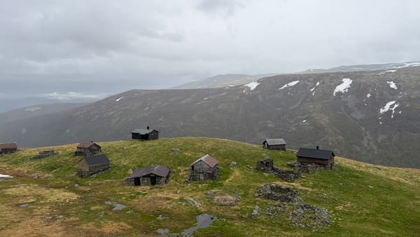 The Flam railway: the Norwegian fjords by train